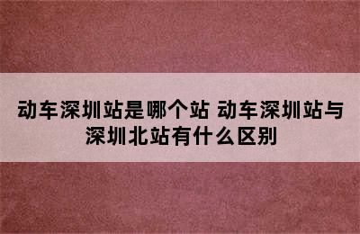 动车深圳站是哪个站 动车深圳站与深圳北站有什么区别